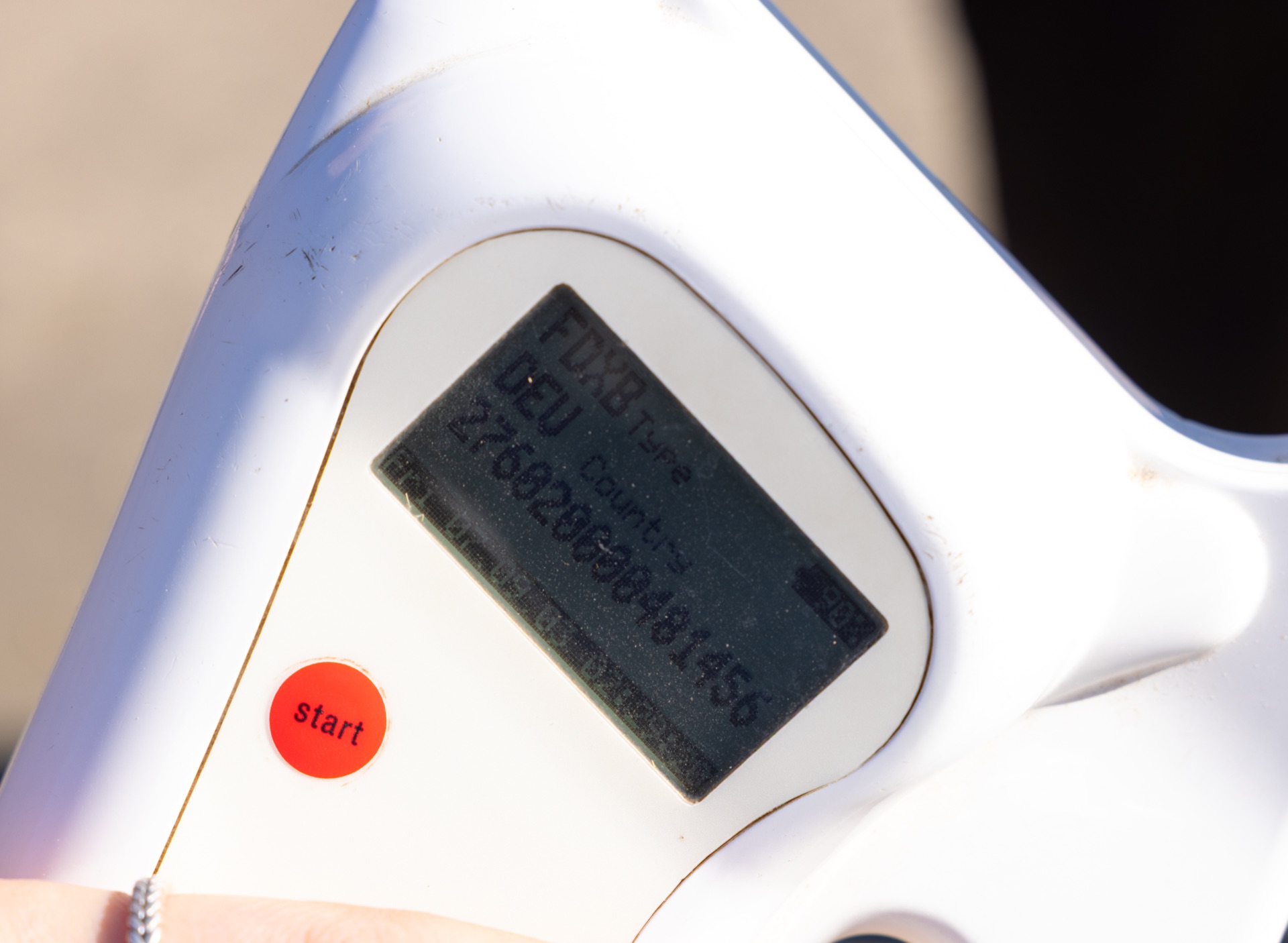 Paard Bailando, photo 7 of 7