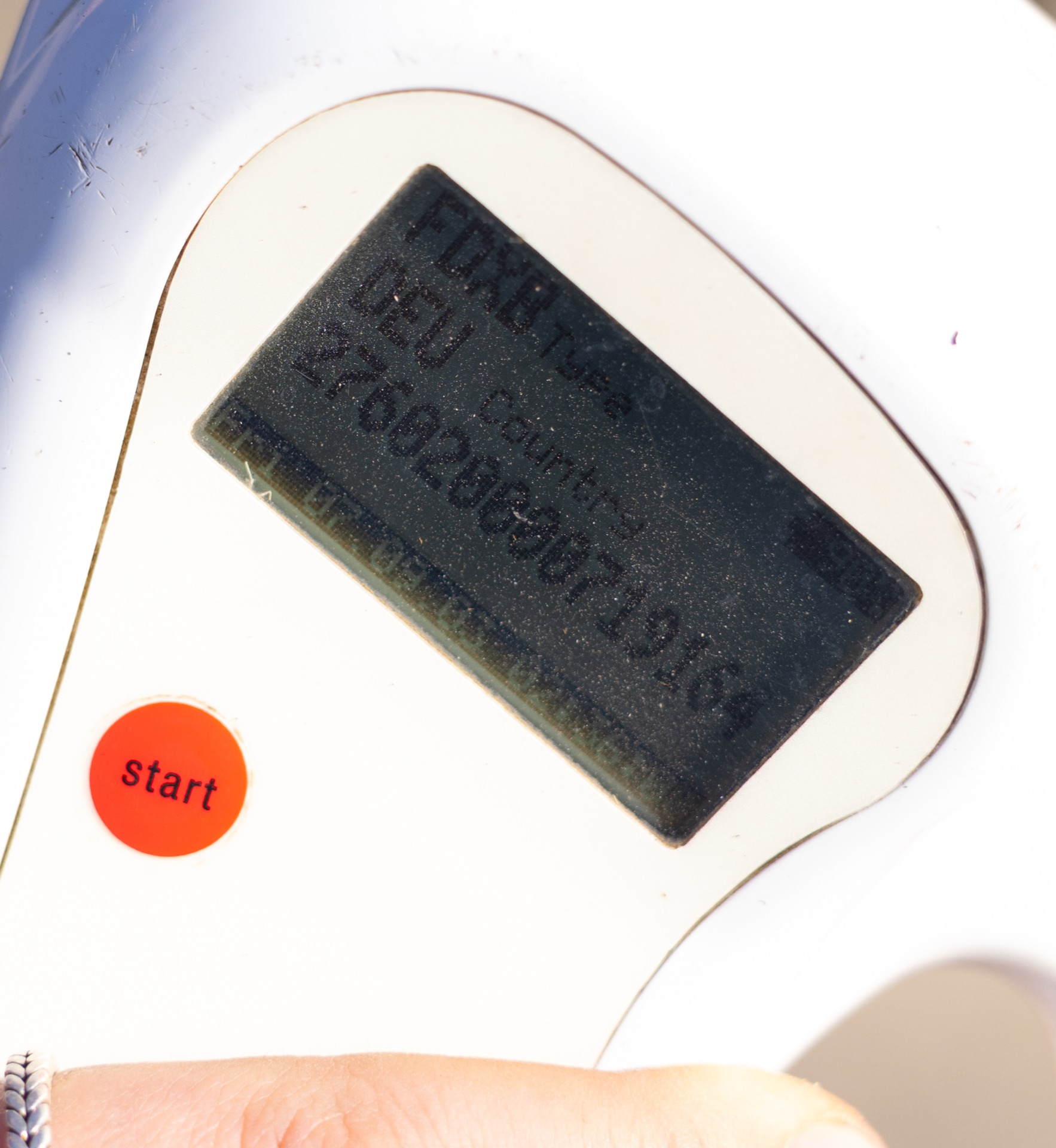 Paard Melody, photo 6 of 6